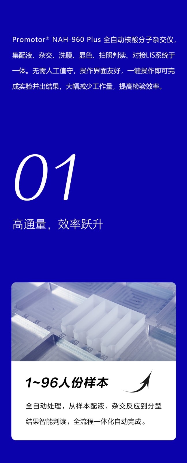 全自動(dòng)核酸分子雜交儀960_02.jpg